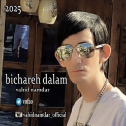 دانلود آهنگ وحید نامدار بیچاره دلم